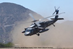 DSC_1438 Sikorsky UH-60 Black Hawk ''H-02'' FACh © Michel Anciaux