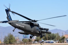 DSC_1488 Sikorsky UH-60 Black Hawk ''H-02'' FACh © Michel Anciaux